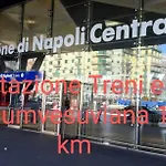 Cerasella